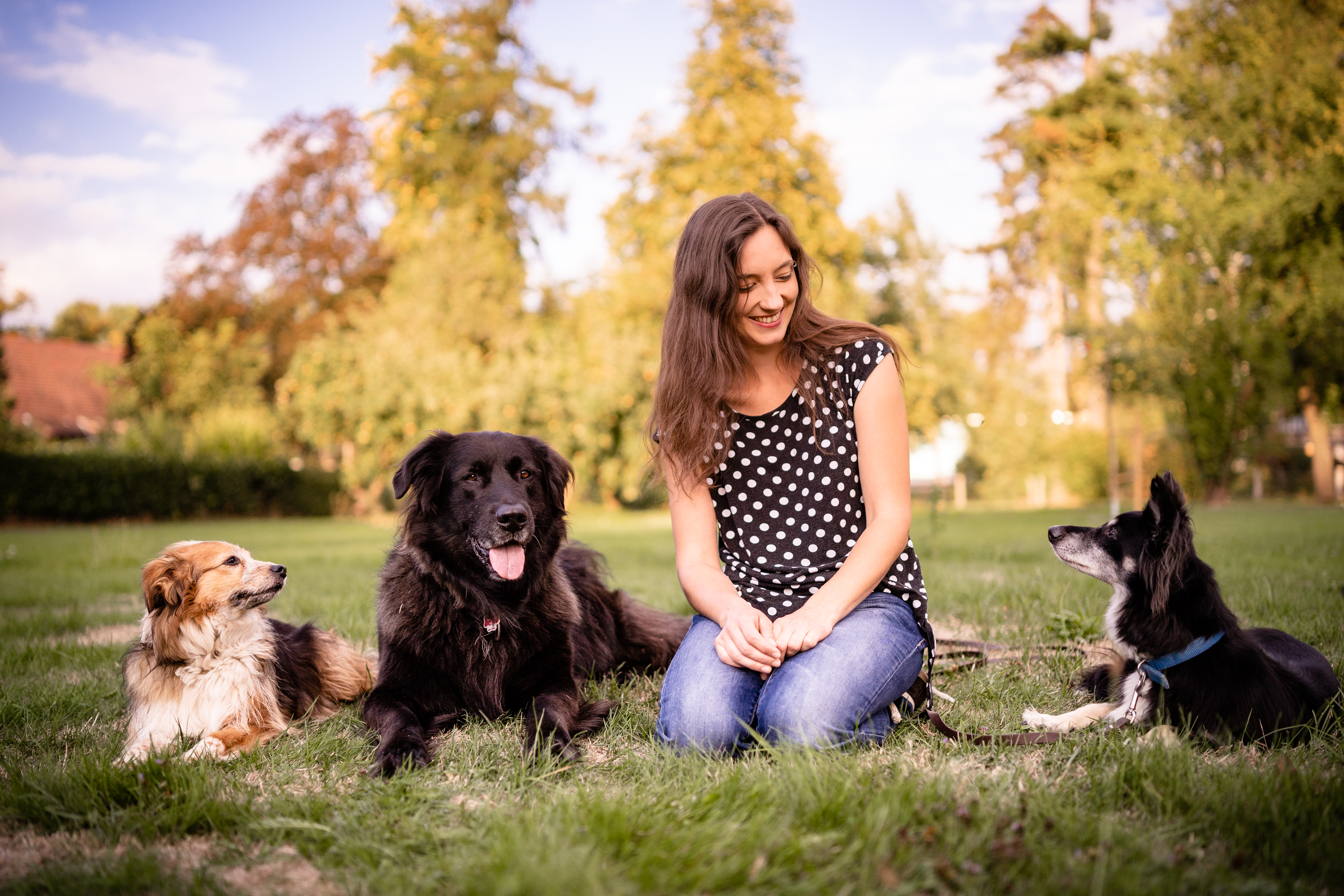 Hundetraining bei Deepdogs in Münster