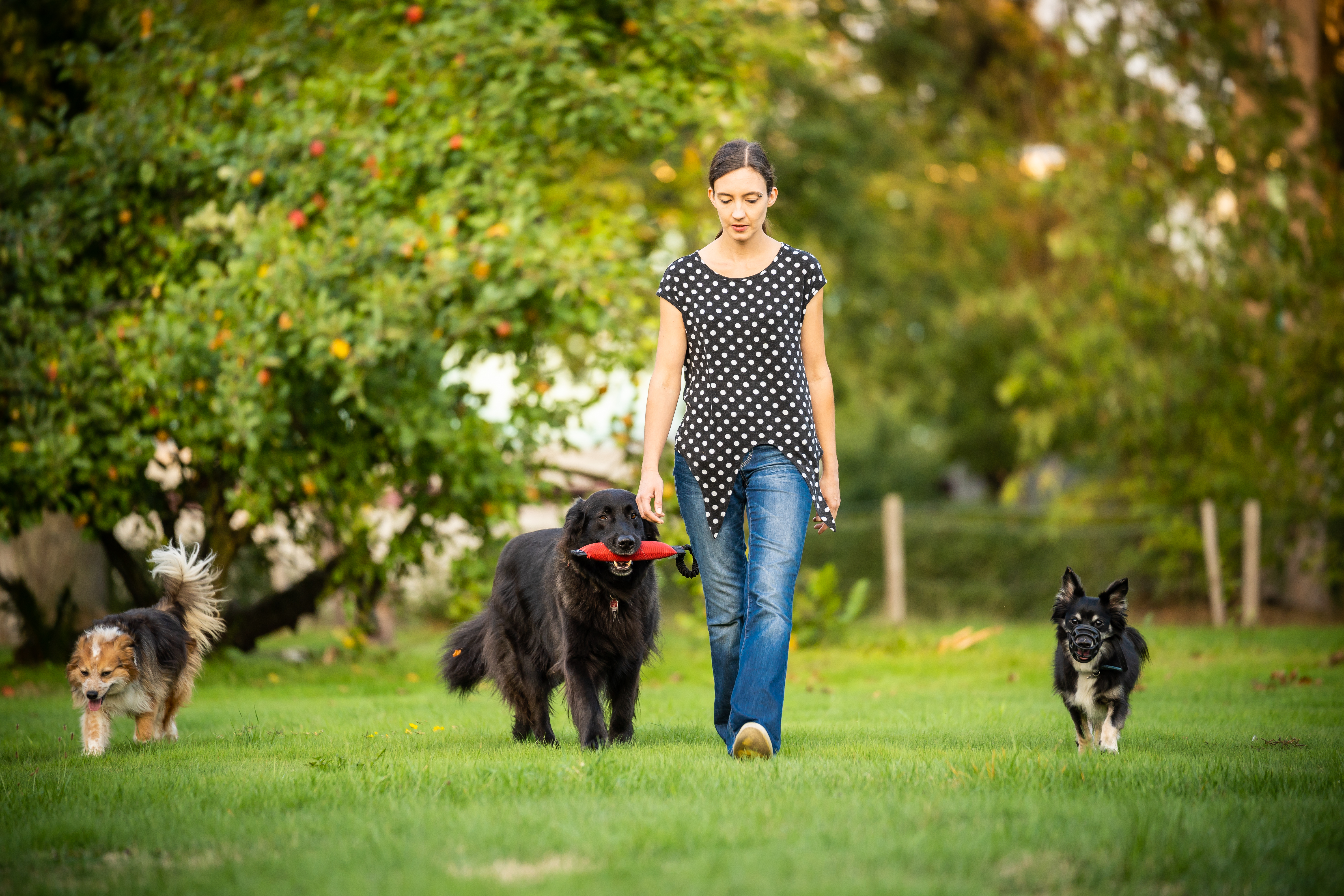 Daniela Strickmann im Training mit Hund